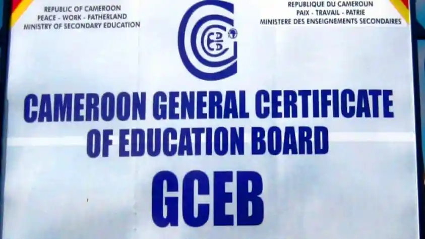 GCE Results 2023 PDF: Everything You Need to Know